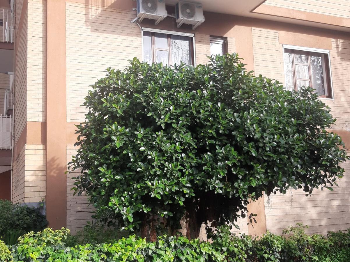 Nuova Luna Salerno Ngoại thất bức ảnh